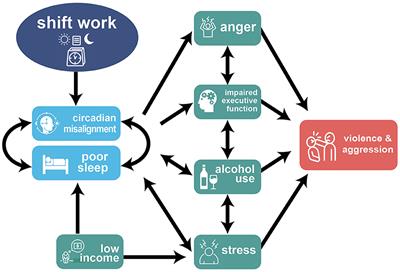 Associations between sleep and circadian disruption in shift work and perpetration of interpersonal violence